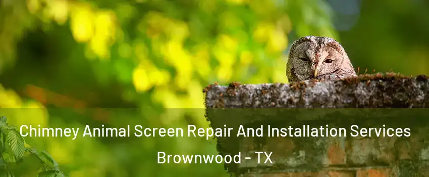  Chimney Animal Screen Repair And Installation Services Brownwood - TX