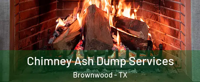  Chimney Ash Dump Services Brownwood - TX