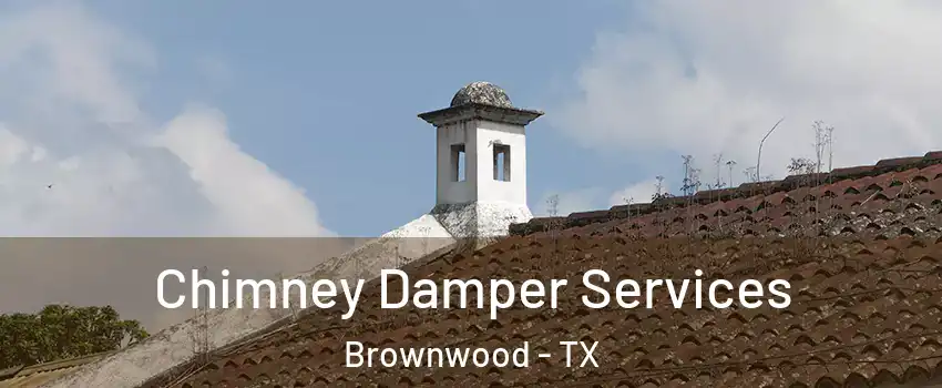  Chimney Damper Services Brownwood - TX