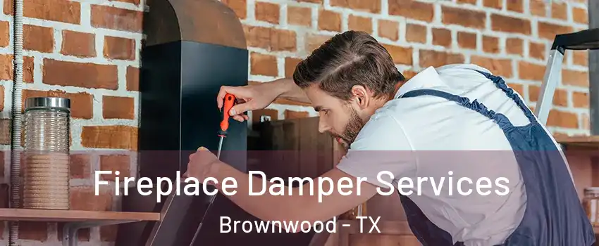  Fireplace Damper Services Brownwood - TX