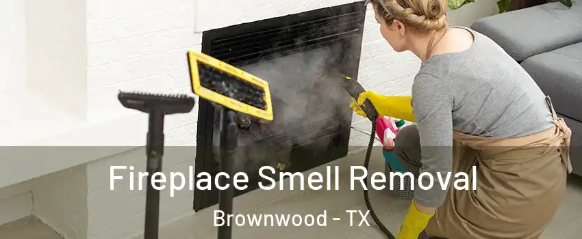 Fireplace Smell Removal Brownwood - TX