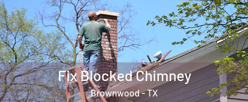  Fix Blocked Chimney Brownwood - TX