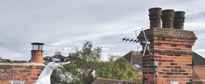 Chimney Cleaning And Restoration in Brownwood, Texas