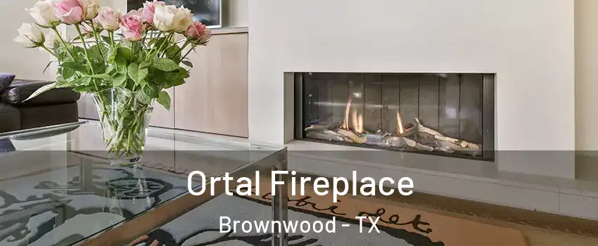  Ortal Fireplace Brownwood - TX